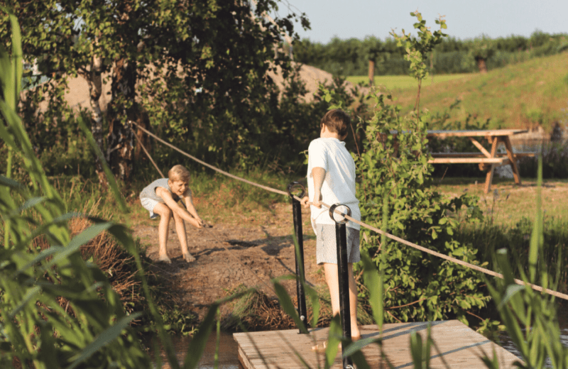 Free Play Party - köstlich pure Natur