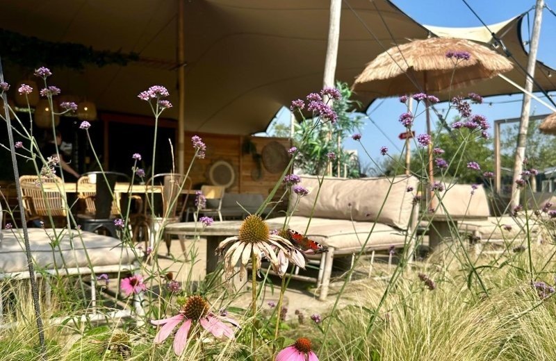 Gastronomie-Pavillon