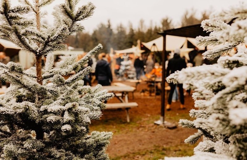 Buitengoed de boomgaard kerstevenement 39