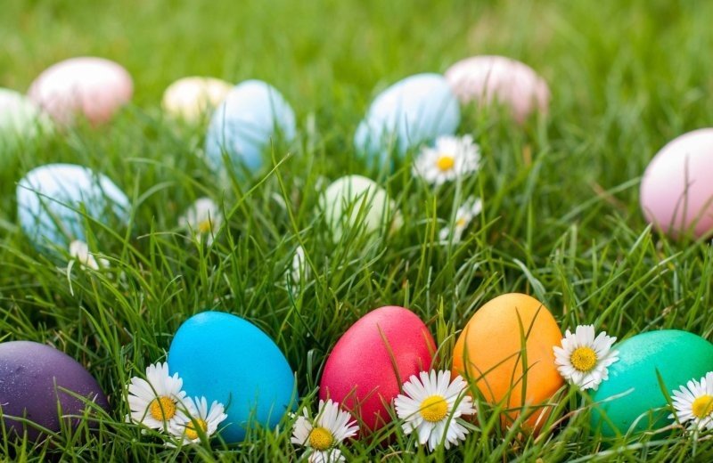 Ostern mit der ganzen Familie in Holland